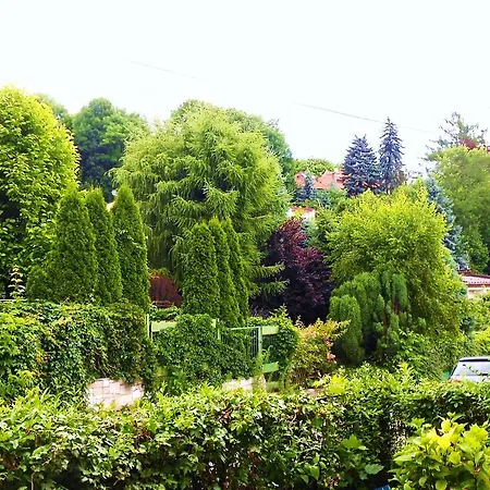 Extra Do Wynajecia 호스텔 크라쿠프