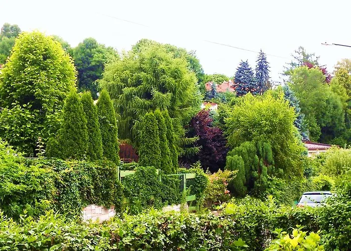 Extra Do Wynajecia 호스텔 크라쿠프