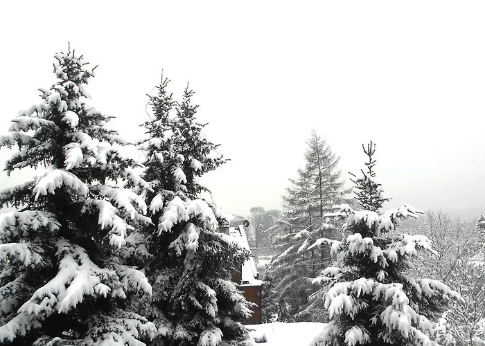 Extra Do Wynajecia *